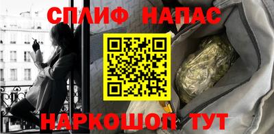 шишки Дубна