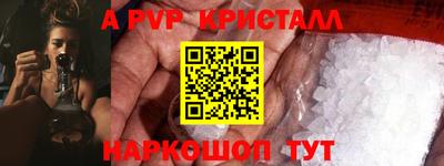 шишки Дубна