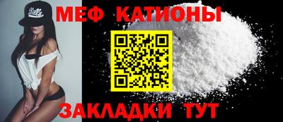 шишки Дубна