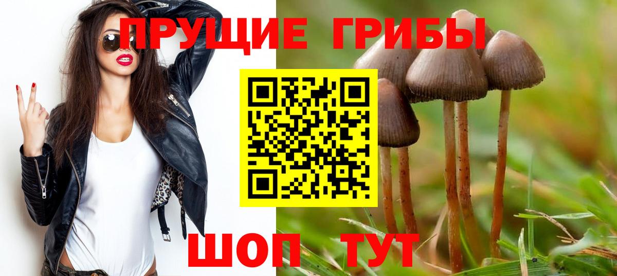 Назарово  купить  цена  Вход с VPN  Псилоцибиновые грибы Psilocybine cubensis 