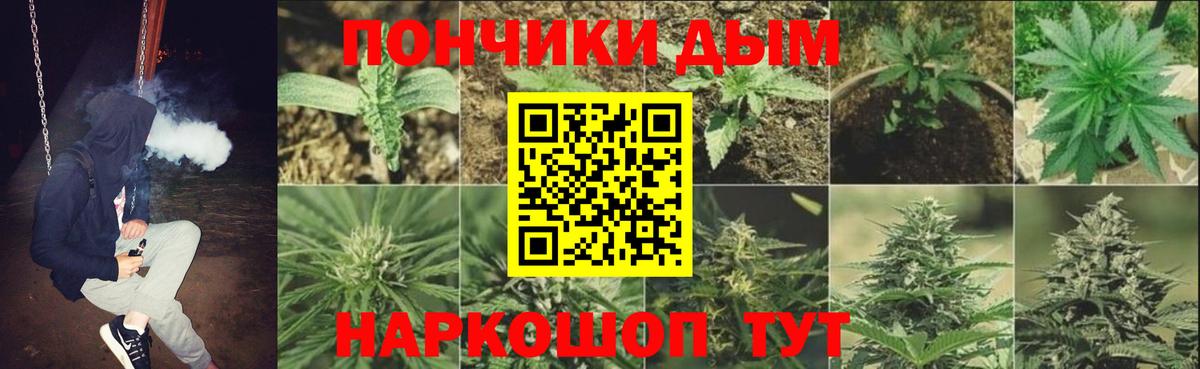 Марихуана планчик  Бошки Шишки индика  Назарово  Вход с VPN  Бошки марихуана MAZAR 